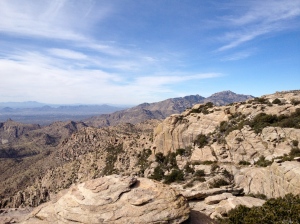 Driving up to the top of Mt. Lemmon takes less than an hour & it's typically cooler and has gorgeous views of the city